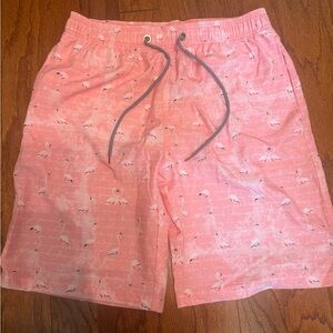 Pink Flamingo Print Men's Swim Shorts